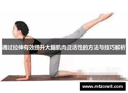通过拉伸有效提升大腿肌肉灵活性的方法与技巧解析